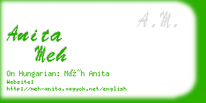 anita meh business card